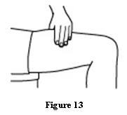 image of Figure 13